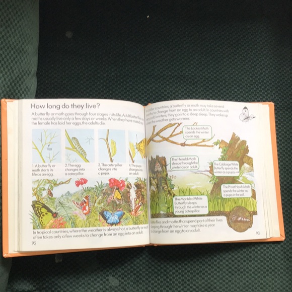 The Usborne Complete Book of Nature - Picture 15 of 15
